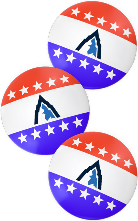 Voter buttons